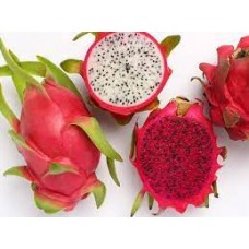 DRAGON FRUITS